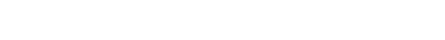 DetroitLabs White Logo